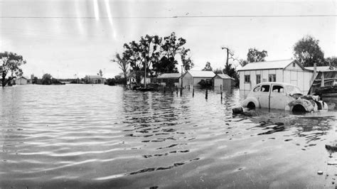 These flows, combined with floodwaters from the Murray and Edward Rivers, have caused major flooding at Wakool Junction and may cause major flooding downstream at Boundary Bend, Euston, <b>Mildura</b> and Wentworth, with levels higher than the 1975 <b>flood</b> event possible. . Mildura flood 1956